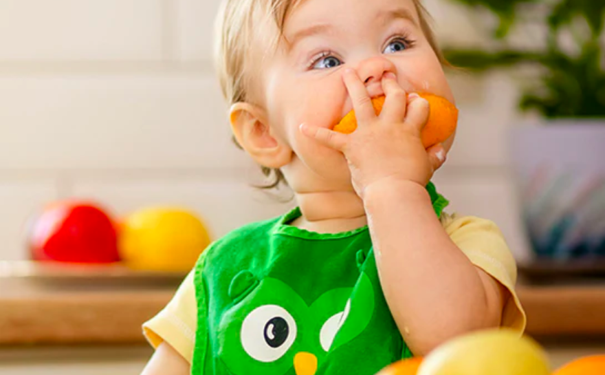 Guia de nutrición para niños pequeños