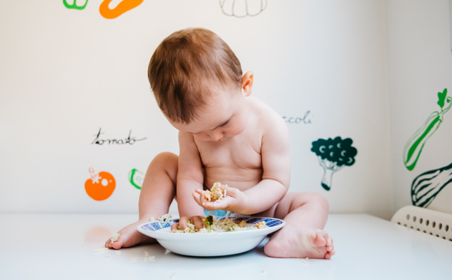 Que es el Baby-Led Weaning
