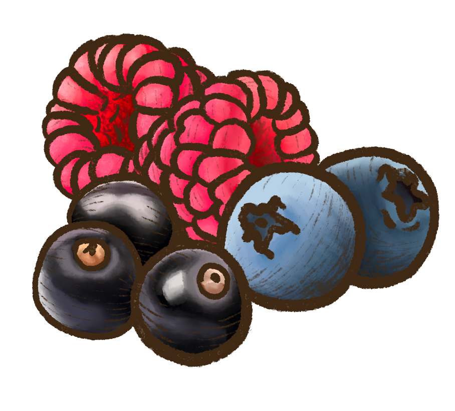 Berries