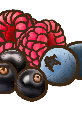 Berries