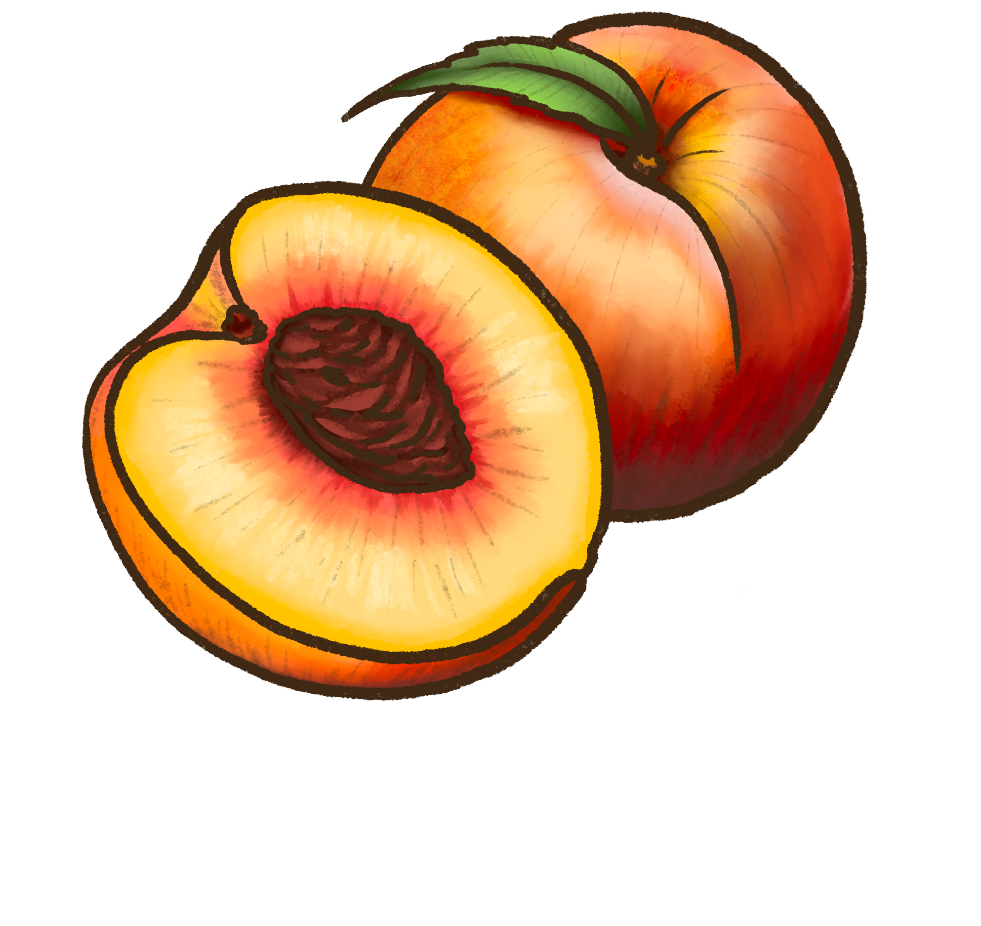 Durazno