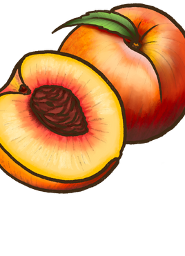 Durazno