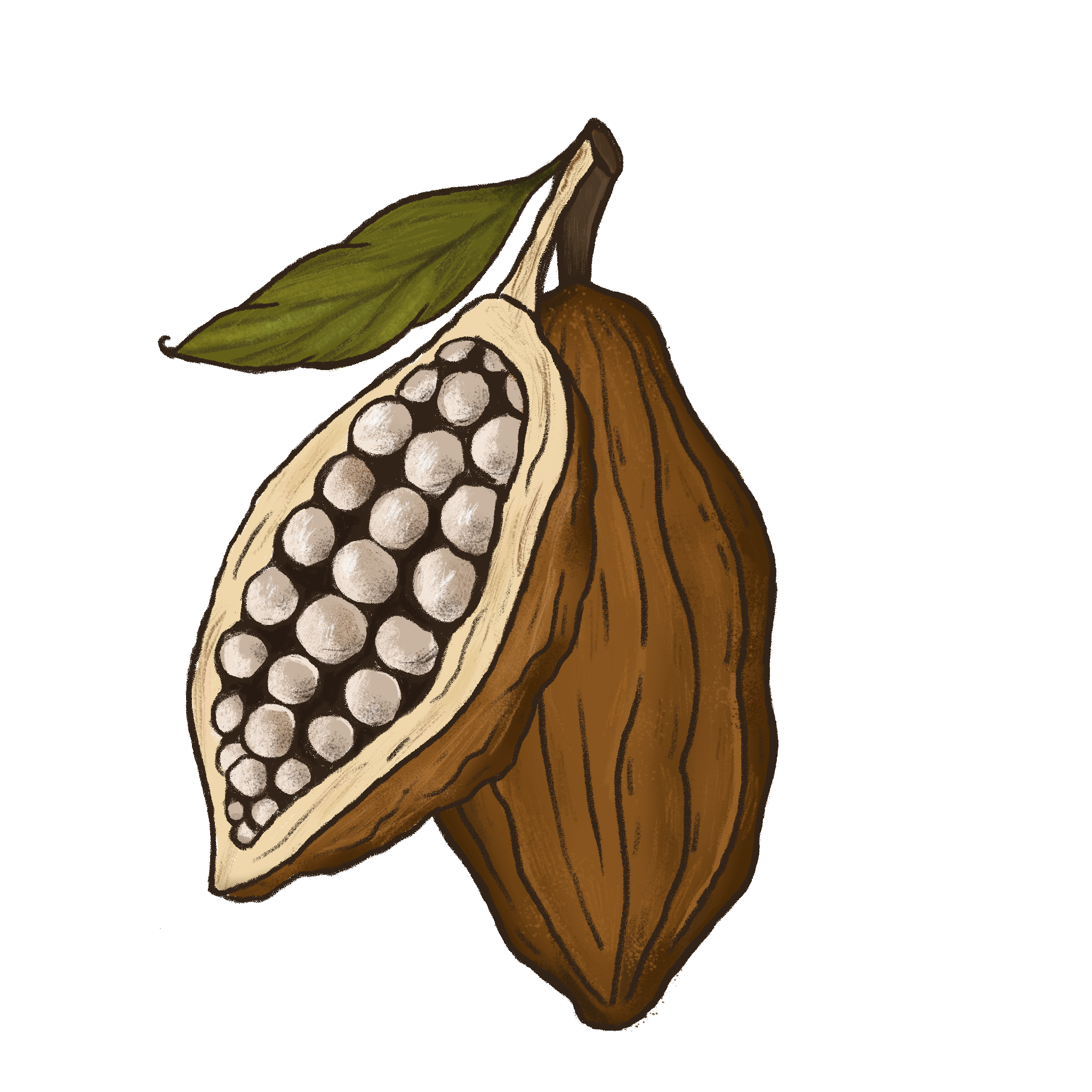 Cacao