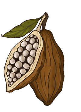 Cacao