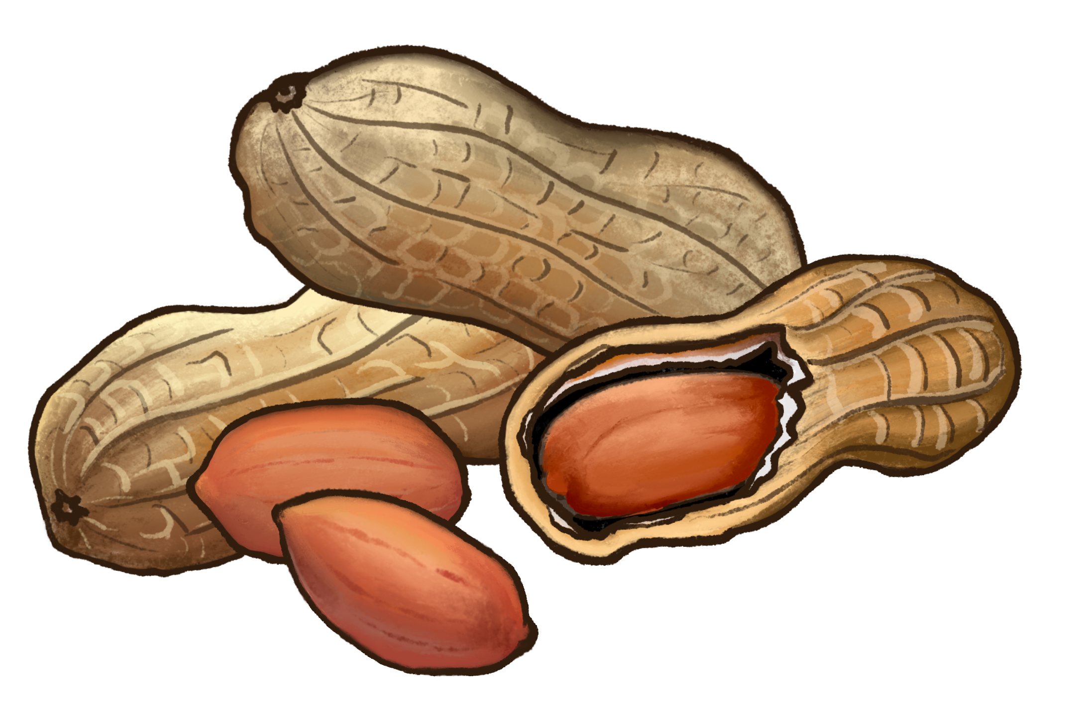 Maní