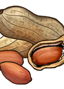 Maní