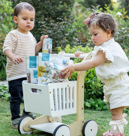 Caja Surtida Puffs Familiar