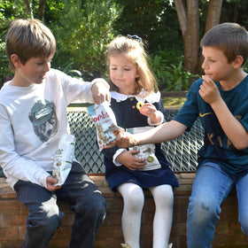 Caja Surtida Bombas Individual