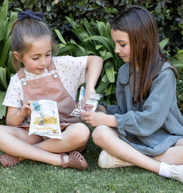 Mix Puffs Individual